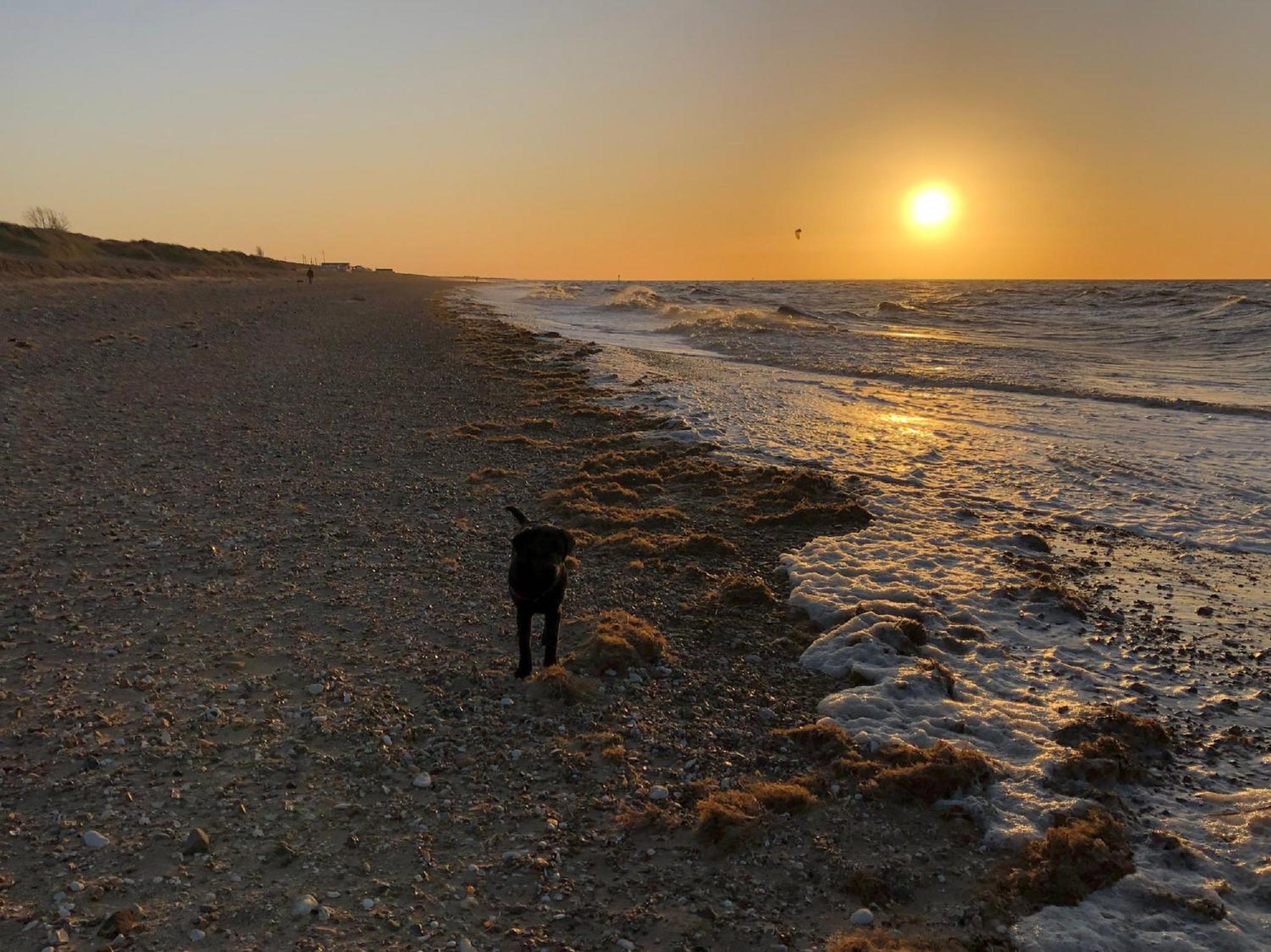 Norfolk Accommodation Хечем Экстерьер фото